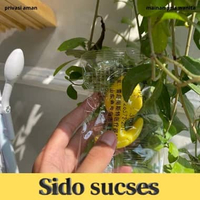 Soft Silikon Penyumbat Pantat Butt Plug Trainer Mini GENDUT 1 TINGKAT