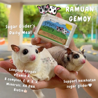 RAMUAN GEMOY Makanan Sugar Glider Whisperer Tara Tenten