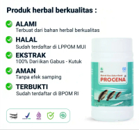 PROCENA Kapsul Ekstrak Ikan Gabus Kutuk Premium kapsul  kutuk kapsul ikan gabus  ori