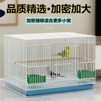 鳥籠 鴿子籠 籠子 鳥籠子 鴿子鳥籠金屬鳥籠子鸚鵡鳥籠鳥籠子八哥秀眼虎皮鳥籠『cyd17913』