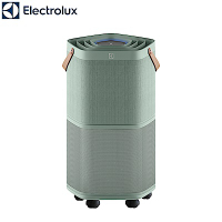 Electrolux 伊萊克斯 ~22坪 Pure A9.2 高效能抗菌空氣清淨機-海洋綠 EP71-56GRA