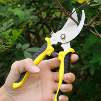 Pruning Shears Gardening Tools Garden Scissors Tree Cutter Plant Scissor Flower Tree Scissors Branch