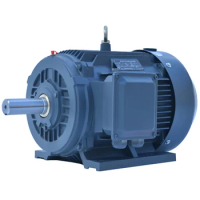 10KW~75KW Electric AC Induction Motor With 50 Years Experiences