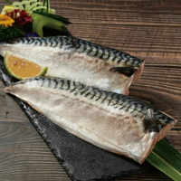 【肉董仔】高級薄鹽鯖魚片 170g/片 挪威鯖魚 魚片 煎魚