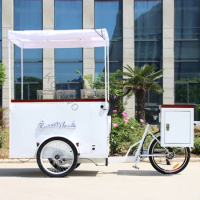 3 Wheel Italian Solar Panel Food Bike With Freezer Coffee Ice Cream Bike For Sale Can Be Customized