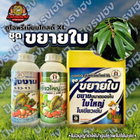 (1ชุดแถมเสื้อ1ตัว) เขียวใหญ่พลัส+13-13-13 ชุดขยายขนาดใบ ตราหญิงงาม ใบเขียว ใบเข้ม ลำต้นแข็งแรง ทุเรี