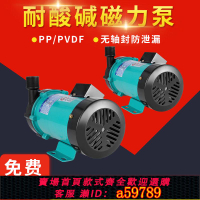 【台灣公司 可打統編】【無軸封防漏】高品質電鍍磁力泵工業小型防腐耐酸堿耐高溫化工泵磁力驅動循環泵