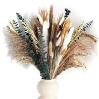 Dried Flowers Eucalyptus Pampas Bunny Tail Grass Wheat Ears Bouquet Boho Nordic Style Home Decor Comfort Party Decoration