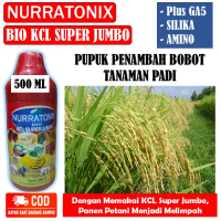 PUPUK PENAMBAH BOBOT PELEBAT PADI - NURRATONIX BIO KCL SUPER JUMBO Plus GA5, SILIKA, AMINO membantu