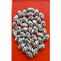 Cincin batu akik jipen si sik ul4r madura