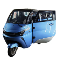 3 Wheels Adult Electric Tricycle Family Enclosed Passenger Tricycle Mobility Scooter TukTuk Car Hot Sale