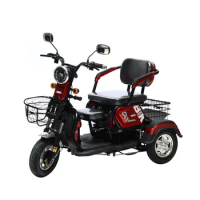 China Manufacture Elderly 3 Wheel E Folding Adult Electric Trike Tricycle Motorcycle