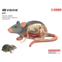 4D Master Rat Animal Anatomy Model Detachable Organs Body Medical Science Educational DIY Toys Gift