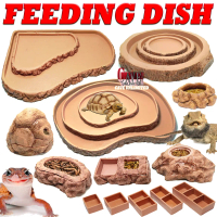 FEEDING WATERDISH WORM DISH TEMPAT MAKAN MINUM SULCATA REPTILE KURA KURA DARAT TORTOISE GECKO INSECT