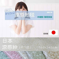范登伯格 日本抗菌涼感紗地毯 (共五色-160x240cm)