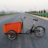 Factory New Arrive Steel Frame Cargo Bike 3 Wheels Tricycles With ARC Box For 4 Kids