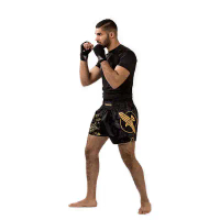 2025 New Hayabusa Falcon Muay Thai Shorts MMA Shorts Fighting Shorts Sanda Shorts Falcon Shorts Men