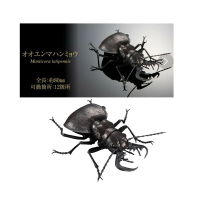 【BANDAI 萬代】轉蛋 扭蛋 生物大圖鑑 鍬形蟲05 巨虎甲蟲(代理)