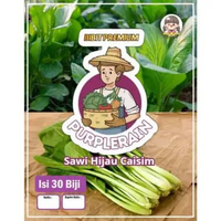 Bibit Premium Sawi Hijau Caisim | Sawi Bakso| Benih Sawi Hijau