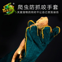 寵爬蟲綠鬣鬃獅蜥蜴蛇貓狗防護手套防抓手套防止抓咬牛皮手套182YJ 公司貨