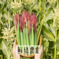 【鮮綠農業】雲林紅鬚玉米筍10斤x1箱(產地直送_鮮嫩帶葉)