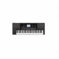 【KORG】Pa300 61鍵 音樂工作站(公司貨保證)