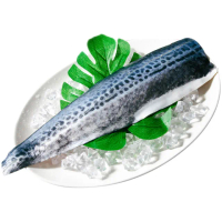 【鮮綠生活】白腹魚菲力魚排 4包(300g-400g/片;白北魚)