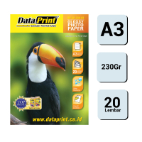 DataPrint Glossy Photo Paper 230 gr A3