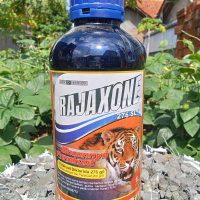 Herbisida pengendali Gulma dan rumput luar RAJAXONE 276 SL ORIGINAL isi 1 liter