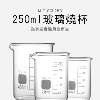 【申易實驗】250ml玻璃燒杯 2入 實驗室燒瓶 刻度杯 B-GCL250(低行燒杯 具嘴燒杯 玻璃瓶)