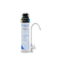 【EVERPURE 愛惠浦】櫥下型 PURVIVE-PBS400無鉛龍頭生飲淨水器