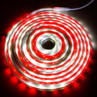 Lampu 10M 15M 25M 30M Led Selang Merah Putih Agustus Merdeka Strip 220V Hias Plafon Pohon Dekorasi R