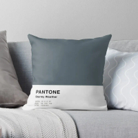 [HOT NYRD KHG 121 ] Stormy Weather Grey Pantone Simple Design Throw Pillow Pillowcases Cushion Cover