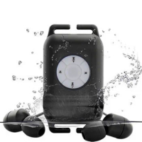 mp3 for swimming Waterproof MP3 Player with Earphone FM mp3 for Surfing Wearing Type Earphone Clip mp3 player music player