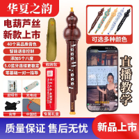 華夏之韻電葫蘆絲專業演奏型胡蘆絲初學者中老年入門電吹管樂器