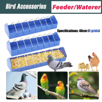 Bát cho ăn Pigeon, Dụng cụ ăn Pigeon bằng nhựa, Bộ phân phối thức ăn cho chim bồ câu và chim công