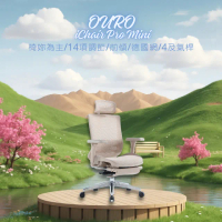 【OURO】iChair Pro Mini(為女生及小身形打造 德國網布 前傾 14項調節 人體工學椅 電腦椅 辦公椅)
