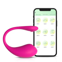 APP Bluetooth Female Vibrator For Women Vibrating Eggs Clitoris Stimulator Wireless Female Panties Sex Toys For Adults Couples