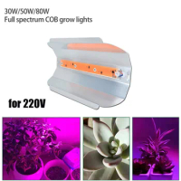 COB LED Grow Light indoor plant lamp Full Spectrum greenhouse aluminum 220V 30W/50W/80W For vegetable cultivo room garden