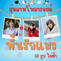 สุ่มภาพโพลารอยด์ พั้นรักแมว 50 รูป 100 บาท รูปไม่ซ้ำ