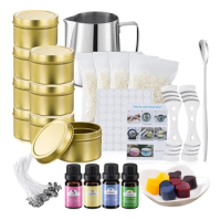 Adult Candle Making Kit, Digital Wax Melt Warmer With Hot Plate Diy  Beginner Candle Making Supplies