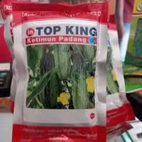 Benih Timun Padang Top King 25 Gram