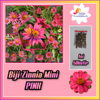 Biji zinnia mini Pink