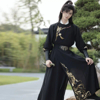 เสื้อคลุม Hanfu, คอกลม, สำหรับผู้ชายและผู้หญิง, ดีไซน์หล่อและเท่, ชุดประจำวันที่มีชื่อเสียง, สไตล์นา