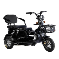 High Quality 600W Electric Tricycles 48V 20Ah Battery Cargo E Bike Adult Electric 3 Wheels Motorcycle