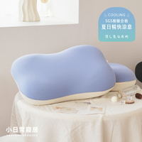 【小日常寢居】冰絲冷感零壓生物基記憶枕-藍(重1.5kg)高密度65D記憶綿