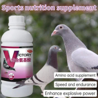 Comprehensive Amino Acid Homing Pigeon Supplement Enhances Physical Fitness, Relieves Fatigue and Enhances Physical Strength