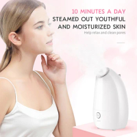 Nano Ionic Facial Steamer Acceptable Warm Mist Humidifier Moisturizing Face spa Beauty Facial Steamer