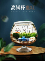 高腳杯生態魚缸造景套餐小型桌面生態瓶魚微景觀免換水族寵物（不送魚）