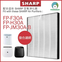 EVERGREEN 適用於Sharp 聲寶 FP-F30A FP-H30A FP-JM30A-B 空氣清新機 淨化器 備用過濾器套件替換用